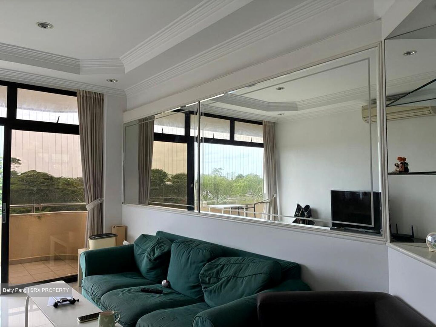 Allsworth Park (D10), Condominium #517139191